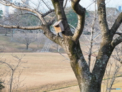 未入居物件