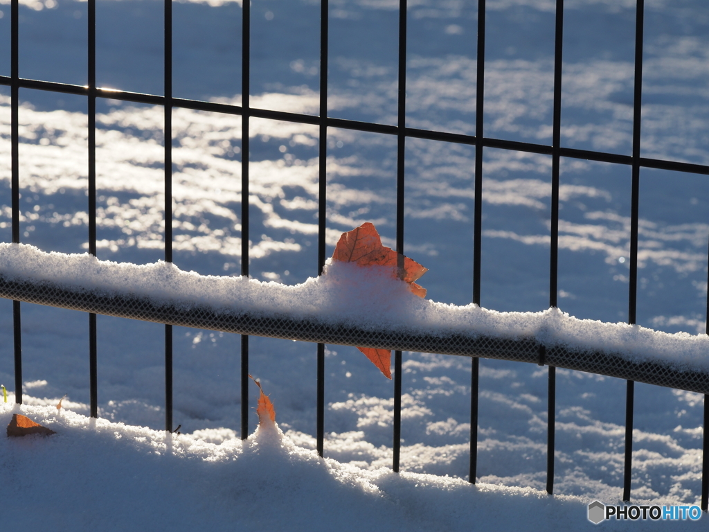 雪の日－１