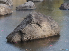 凍てついた朝－１