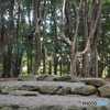 神社－３