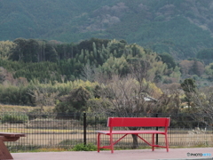赤いベンチ