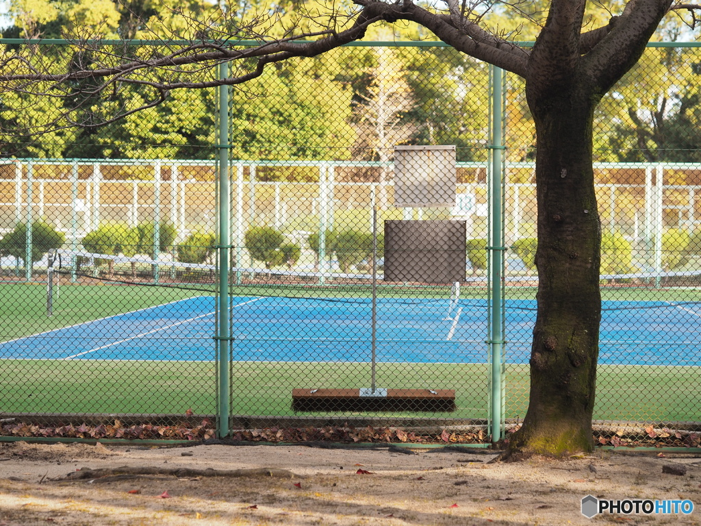 朝のテニスコート