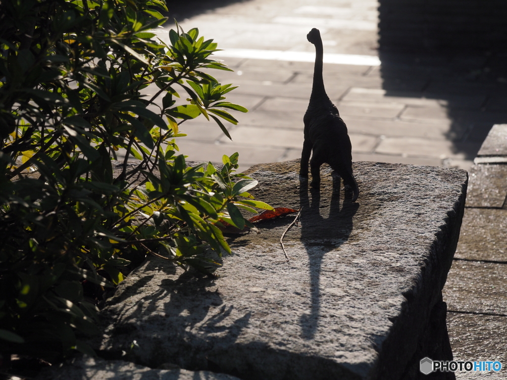 公園の恐竜