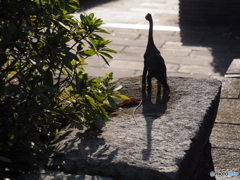 公園の恐竜