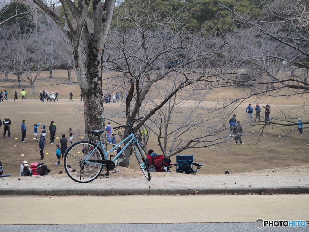 休日の公園