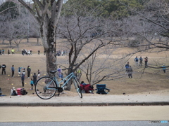 休日の公園