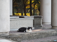 秋日和