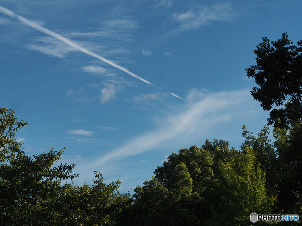 飛行機雲