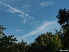 飛行機雲