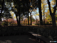 紅葉ー１