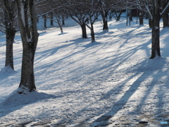 雪の日－２
