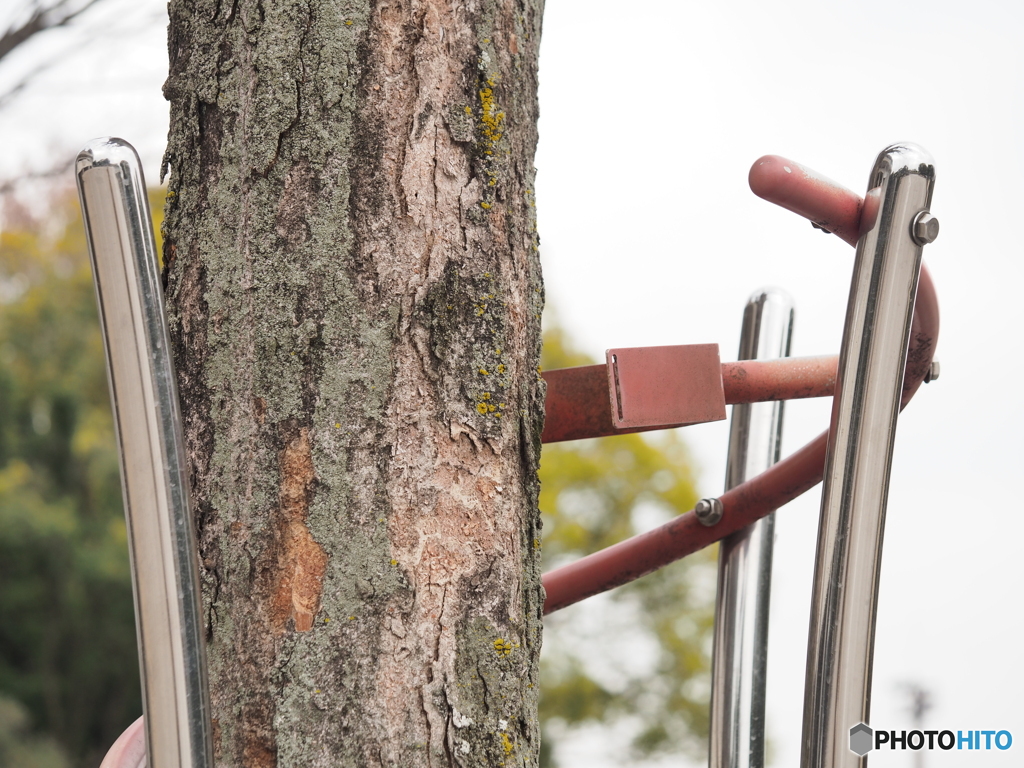 添えない添え木