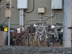 不明自転車