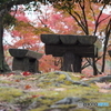 雨の公園－３