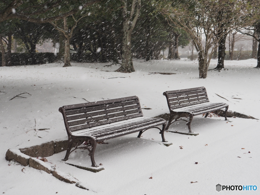 雪の公園ー２