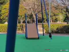 インクルーシブ遊具－３