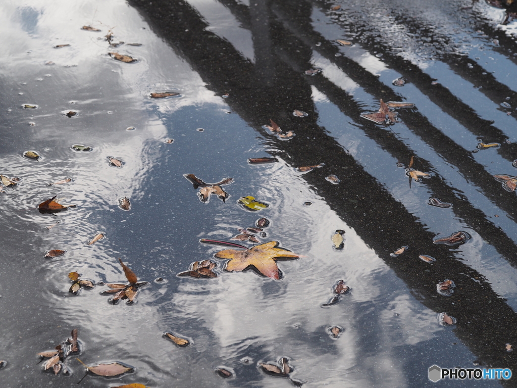 雨上がり－１