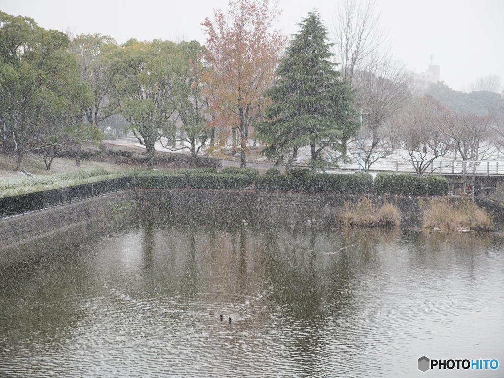 雪の日ー１