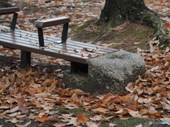 曇り時々雨