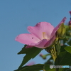 P8130996
