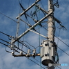電柱