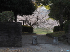 春の公園