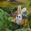 忘れ去られたウサギ