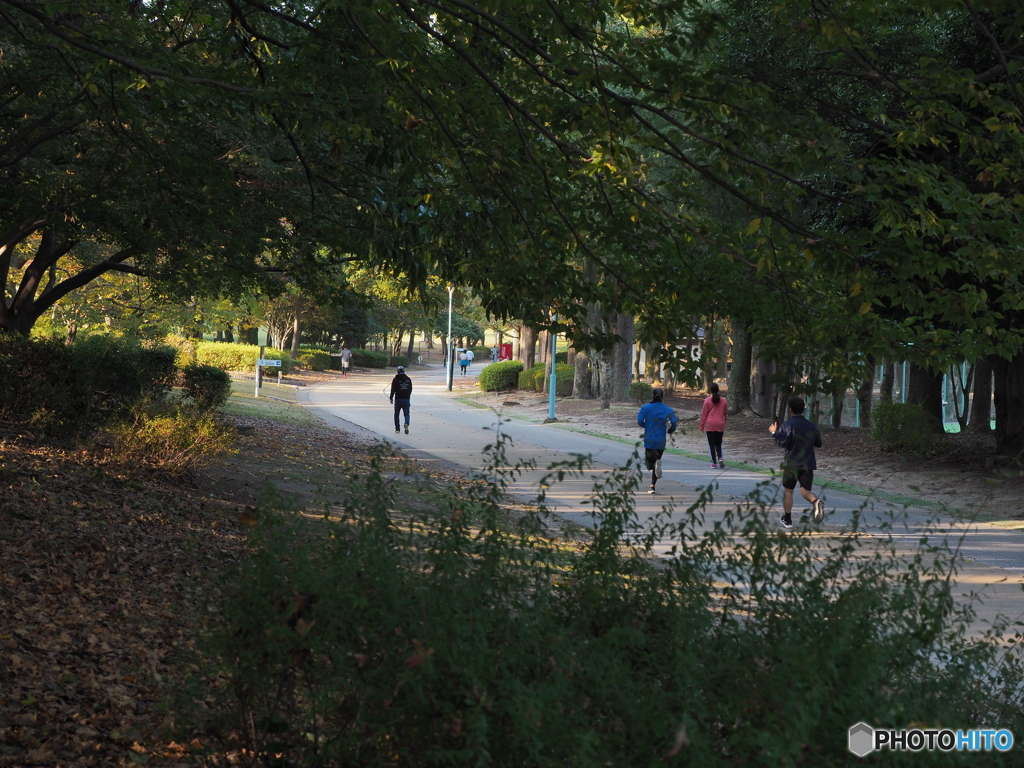 休日の公園ー２