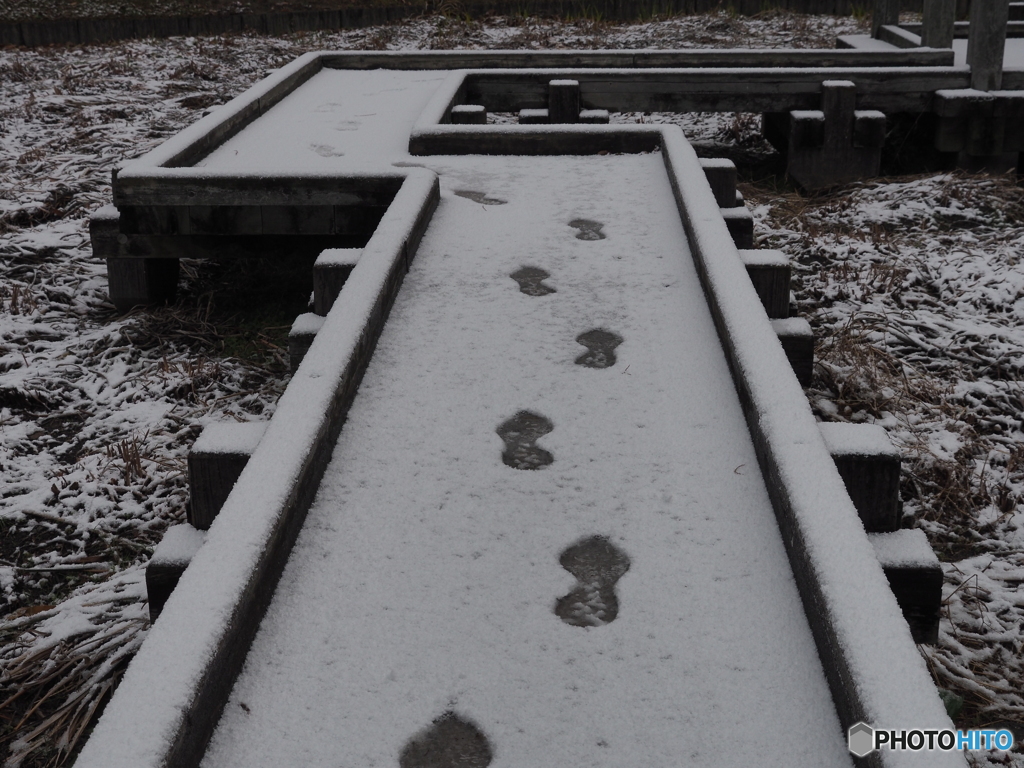 雪の日ー３