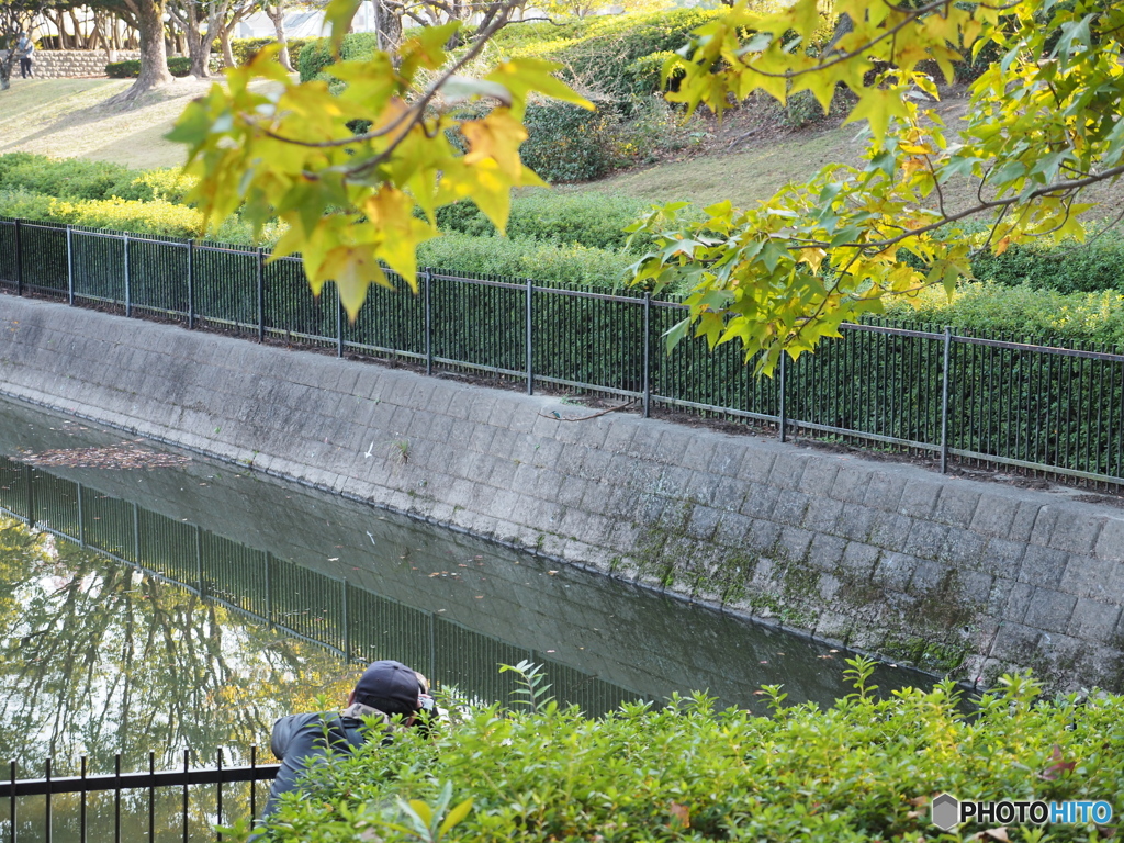 休日の公園－１