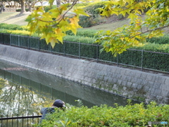 休日の公園－１