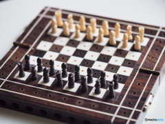 携帯ゲーム