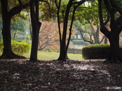 通り雨