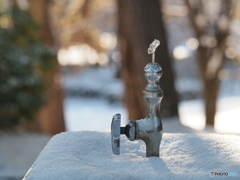 雪景色－３