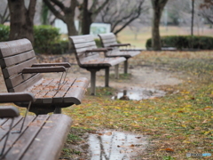 雨上がりの公園－２