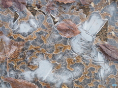 凍てついた朝－２