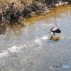 飛び去る－２