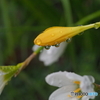 雨雫