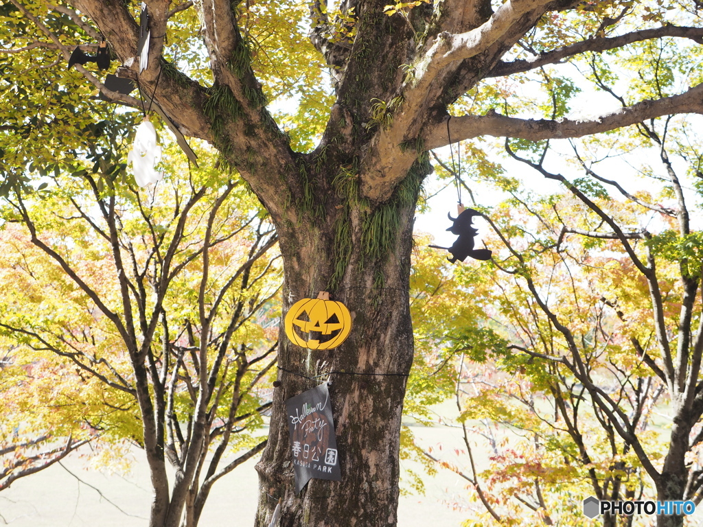 公園のハロウィーン
