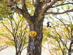 公園のハロウィーン