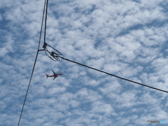 １０月の空