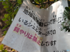 注意文