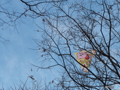 ひっかかった！