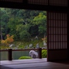 雨のひととき