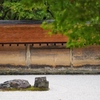 禅