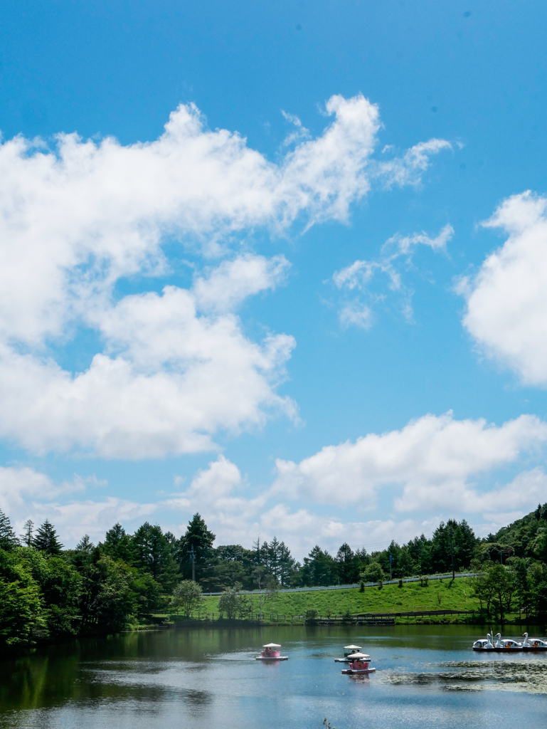 夏休み…茶臼山高原にて ⋆*