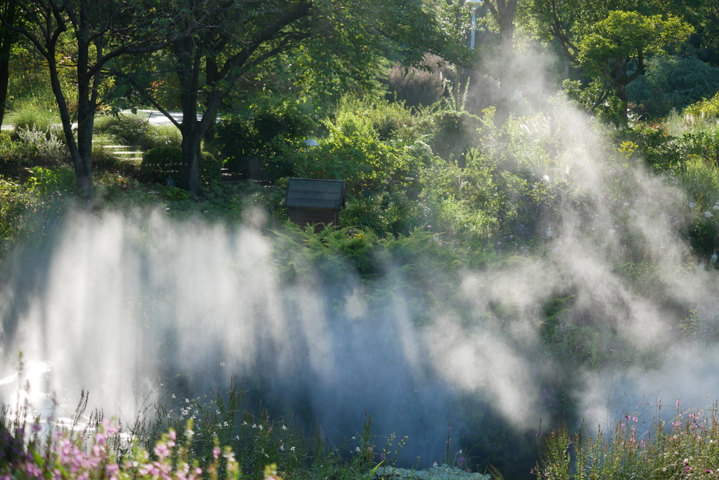Mist…°・*:.。.☆