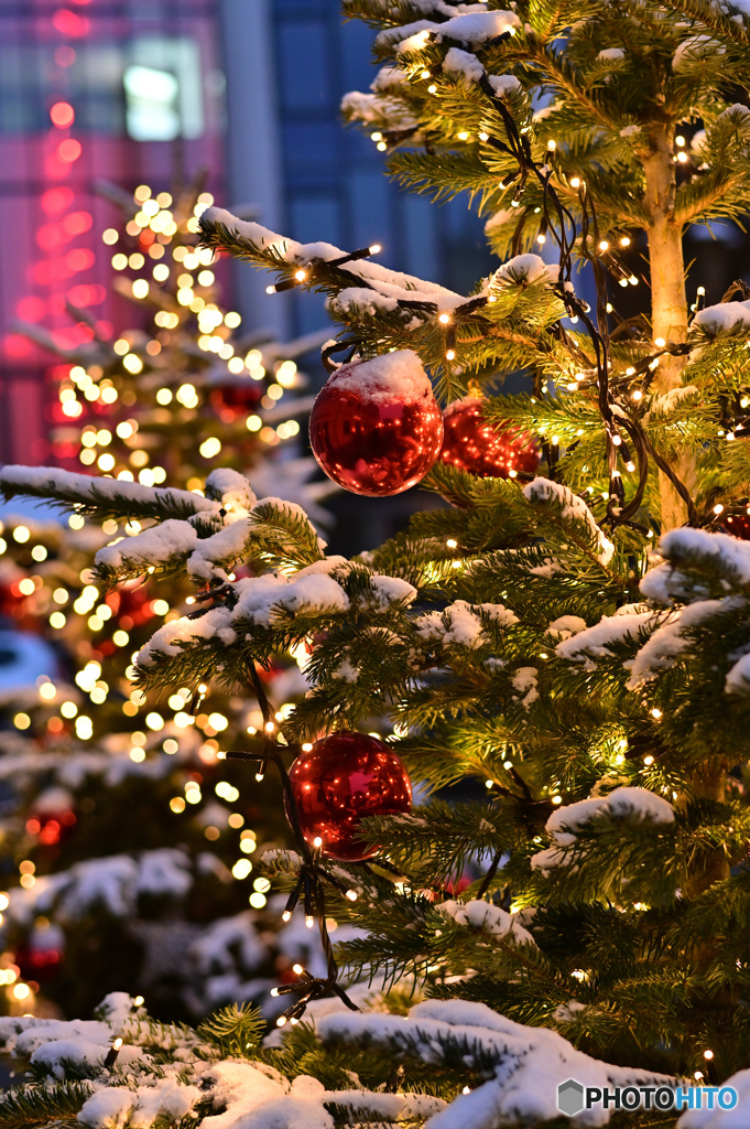 Christmas