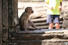 Cambodia