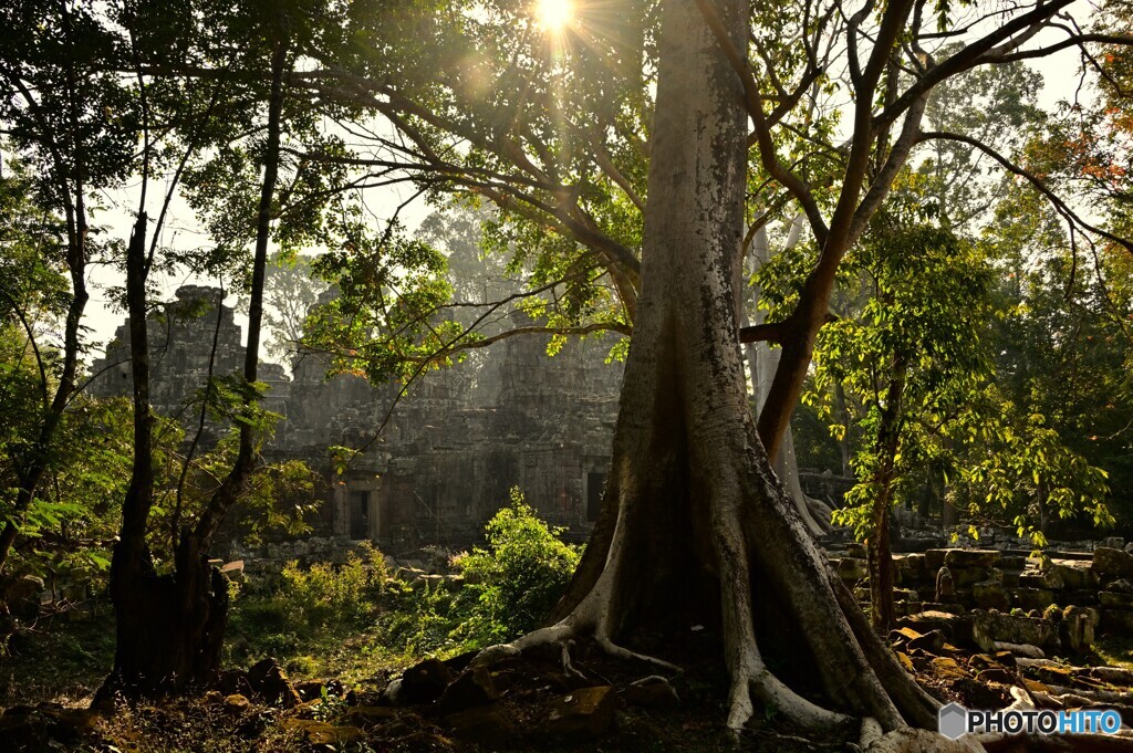 Cambodia